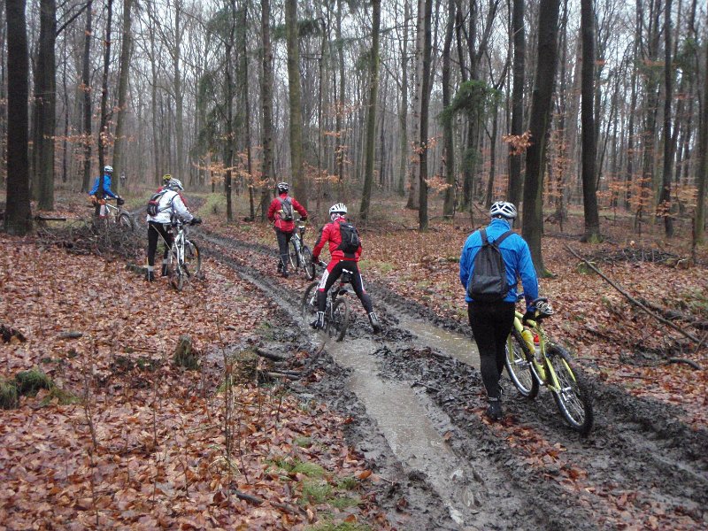 Waldtour 011
